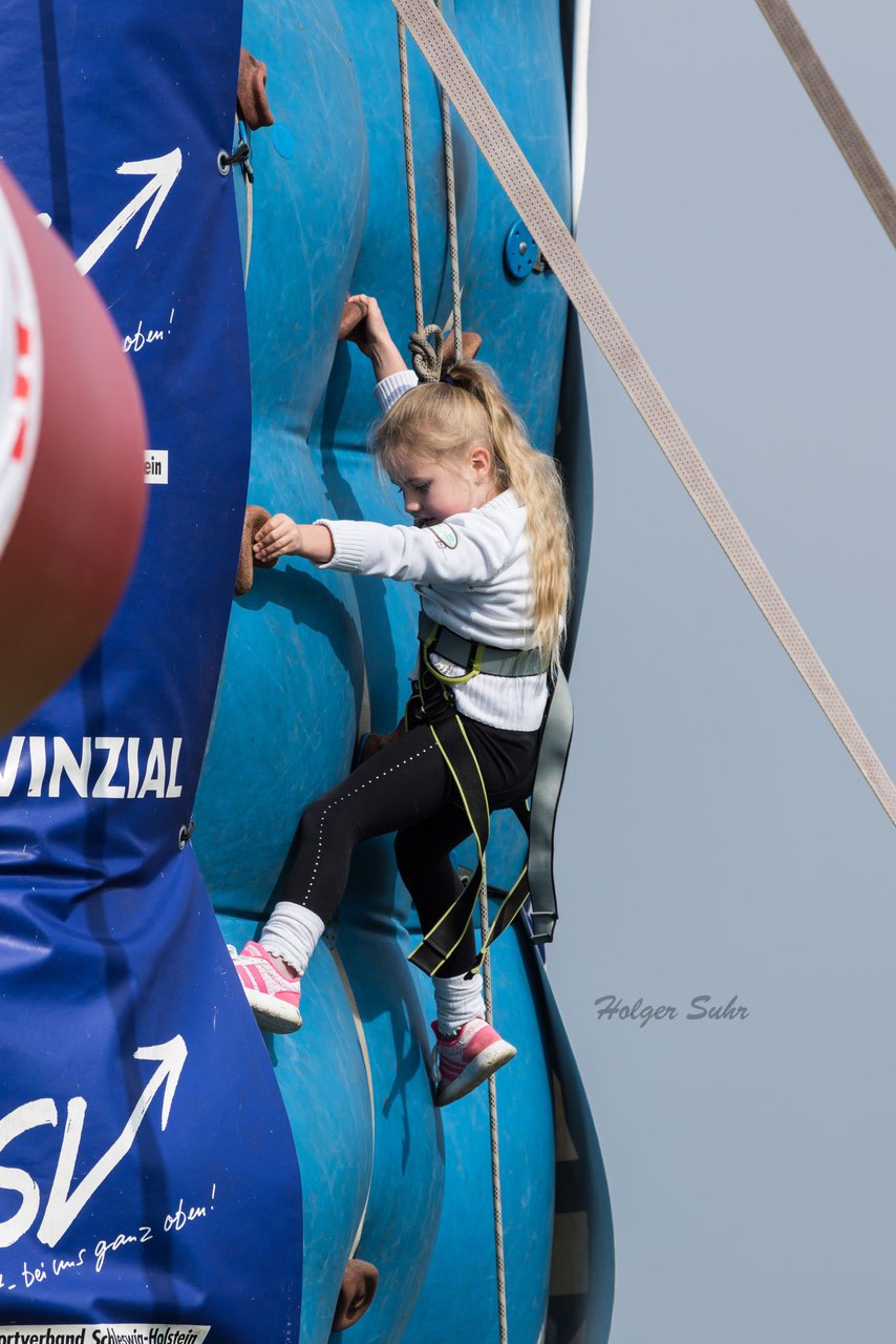 Bild 319 - Vogelschiessen